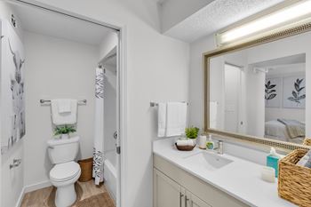 White bathroom interior